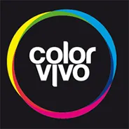 Color Vivo Internet